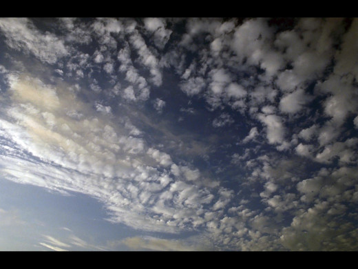 30444 (a): :1600x1200